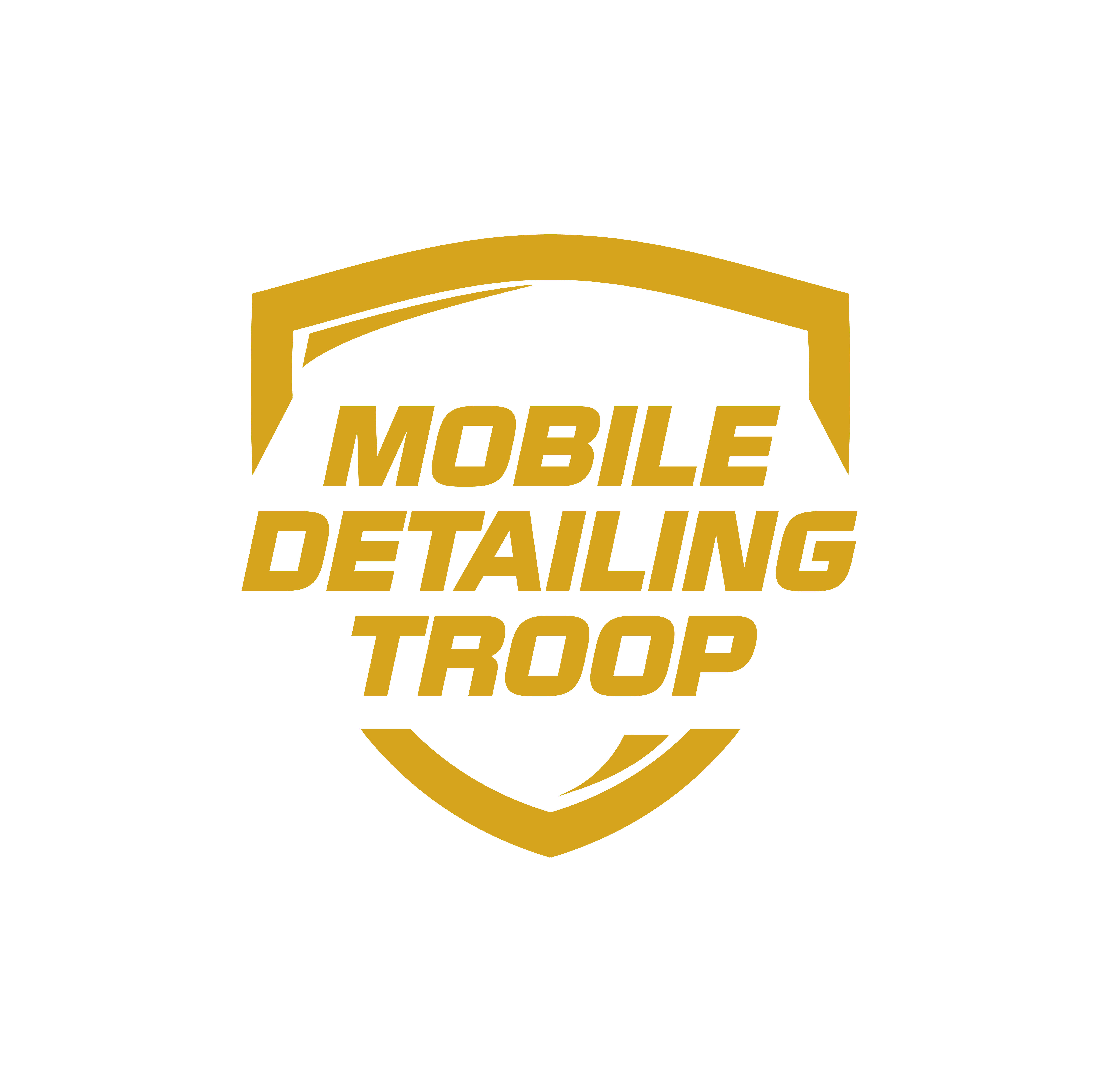 Mobile Detailing Troop